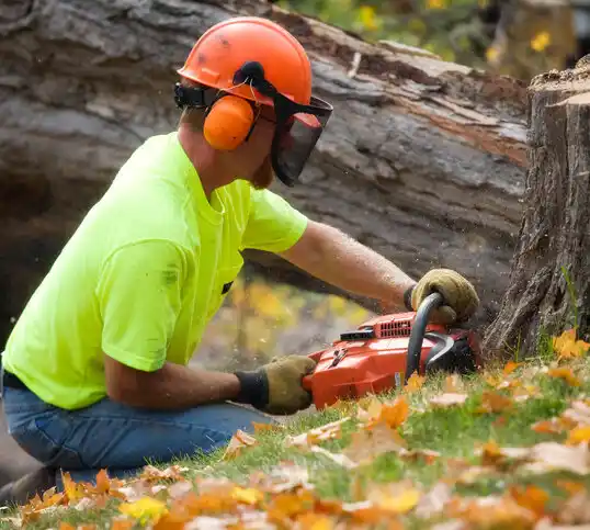 tree services Itta Bena